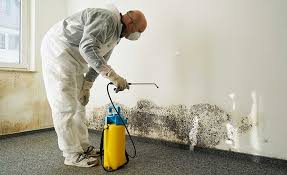 Best Industrial Mold Remediation in Newton, MS